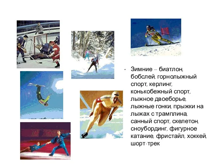 Зимние — биатлон, бобслей, горнолыжный спорт, керлинг, конькобежный спорт, лыжное двоеборье, лыжные