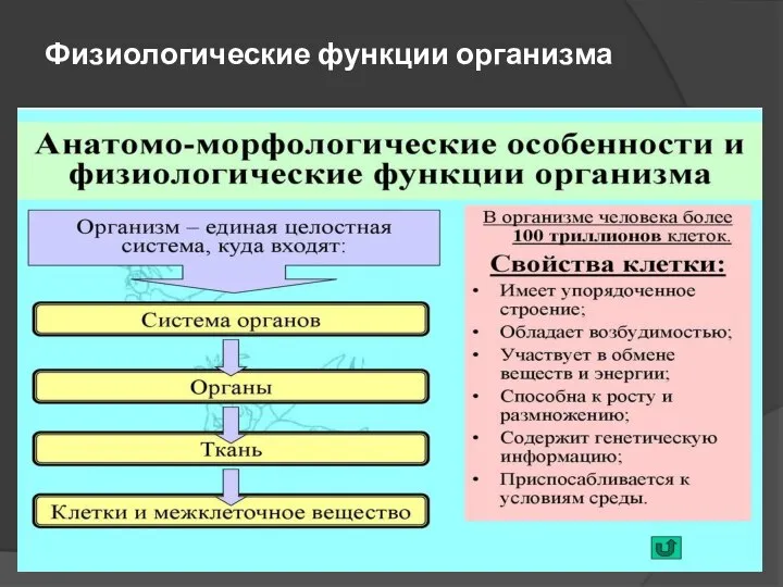 Физиологические функции организма