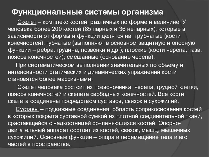 Функциональные системы организма Скелет – комплекс костей, различных по форме и величине.