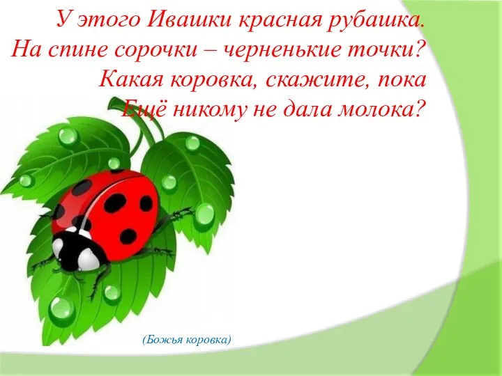 У этого Ивашки красная рубашка. На спине сорочки – черненькие точки? Какая