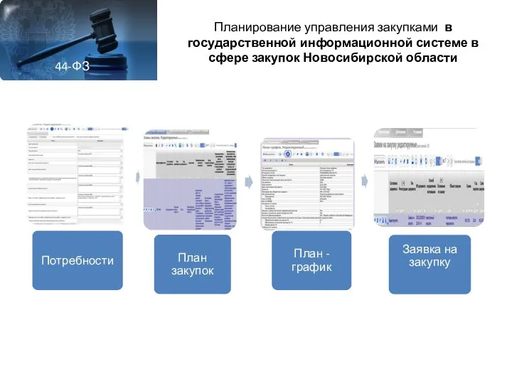 Планирование управления закупками в государственной информационной системе в сфере закупок Новосибирской области 44-ФЗ