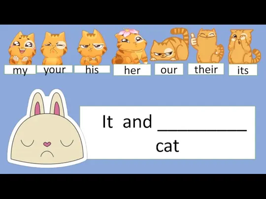 It and _________ cat my your his her our their its