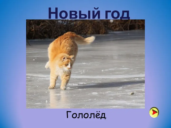 Новый год Гололёд.