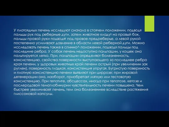 У плотоядных печень исследуют сначала в стоячем положении, подводя пальцы рук под