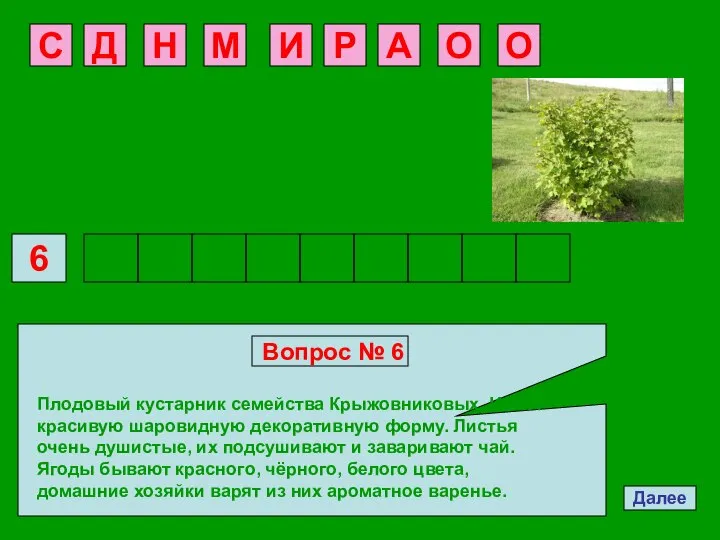 Далее 6 С Вопрос № 6 Плодовый кустарник семейства Крыжовниковых. Имеет красивую