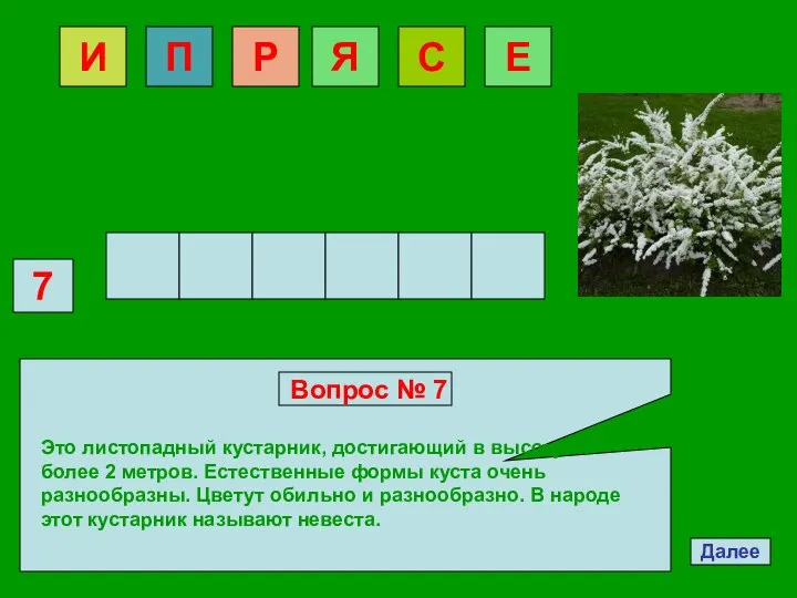 Далее 7 Вопрос № 7 Это листопадный кустарник, достигающий в высоту не