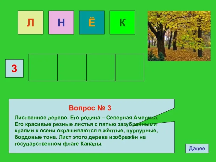 Далее 3 Вопрос № 3 Лиственное дерево. Его родина – Северная Америка.