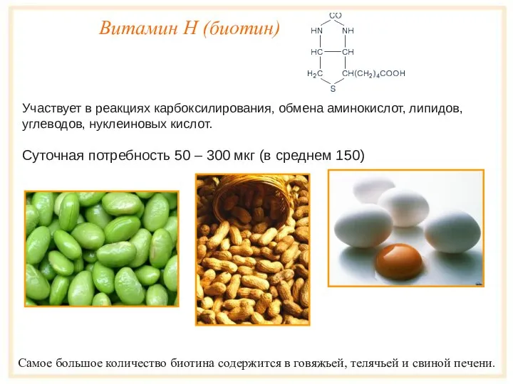Витамин Н (биотин) Участвует в реакциях карбоксилирования, обмена аминокислот, липидов, углеводов, нуклеиновых