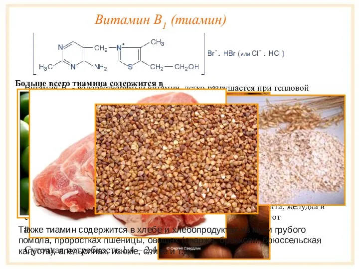 Витамин B1 (тиамин) Витамин B1 - водорастворимый витамин, легко разрушается при тепловой