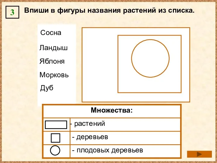 Впиши в фигуры названия растений из списка. 3 Сосна Ландыш Яблоня Морковь Дуб