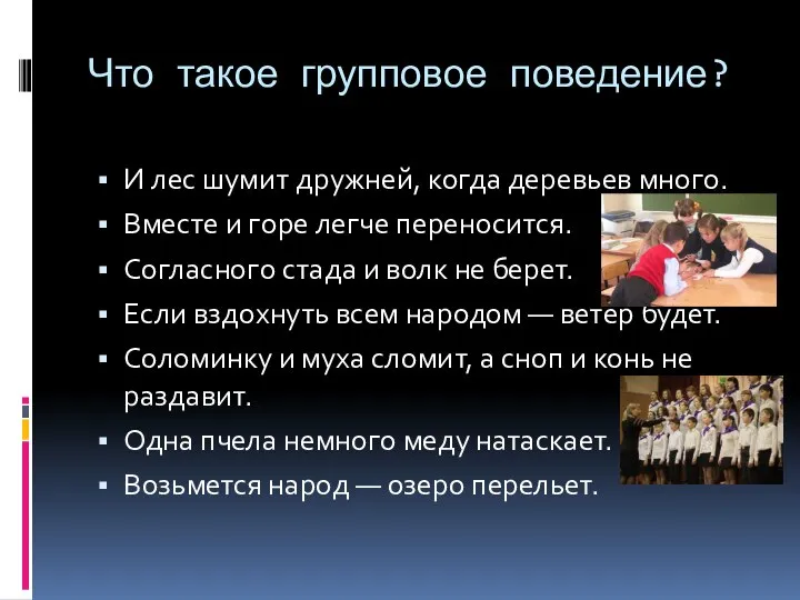 Что такое групповое поведение? И лес шумит дружней, когда деревьев много. Вместе