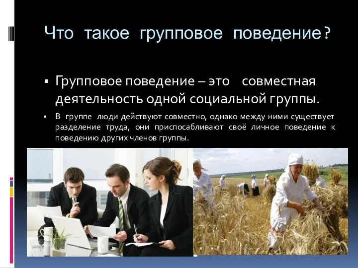 Что такое групповое поведение? Групповое поведение – это совместная деятельность одной социальной