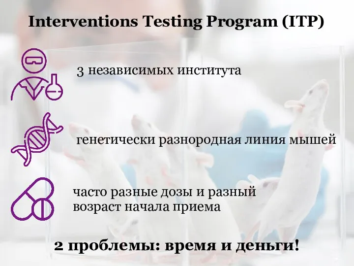 Interventions Testing Program (ITP) 2 проблемы: время и деньги!