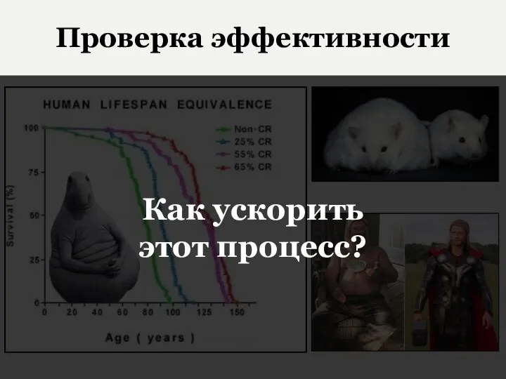 Проверка эффективности Как ускорить этот процесс?