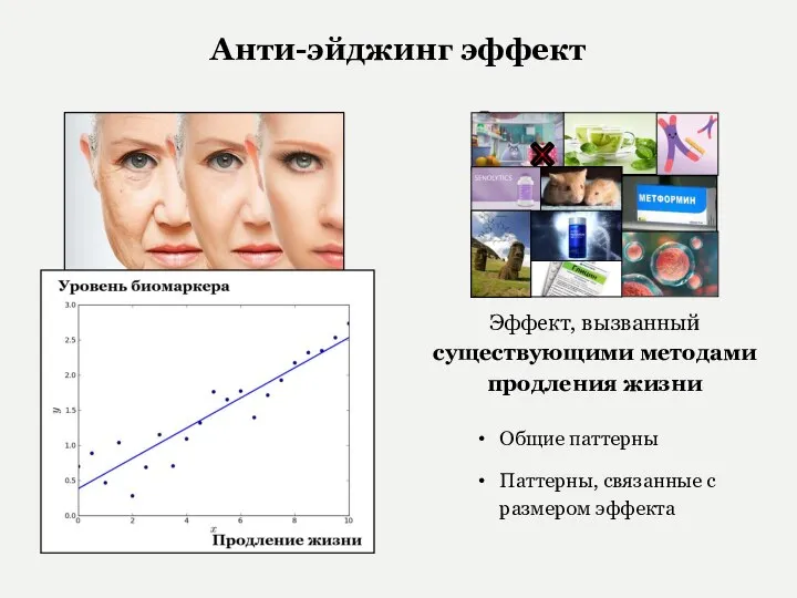 Эпигенетические Анти-эйджинг эффект Обращение возрастных изменений Эффект, вызванный существующими методами продления жизни