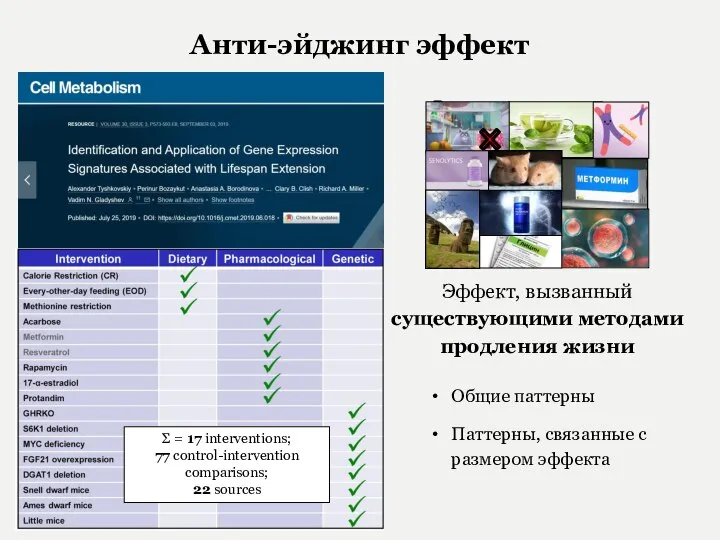 Анти-эйджинг эффект Обращение возрастных изменений Эффект, вызванный существующими методами продления жизни Транскриптомные