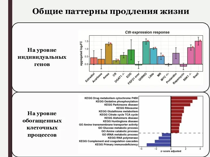 Общие паттерны продления жизни На уровне обогащенных клеточных процессов На уровне индивидуальных генов