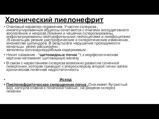 Хронический пиелонефрит Очаговый характер поражения .Участки склероза ,инкапсулированные абцессы сочетаются с очагами