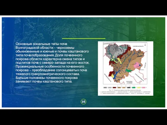 Основные зональные типы почв Волгоградской области – черноземы обыкновенные и южные и