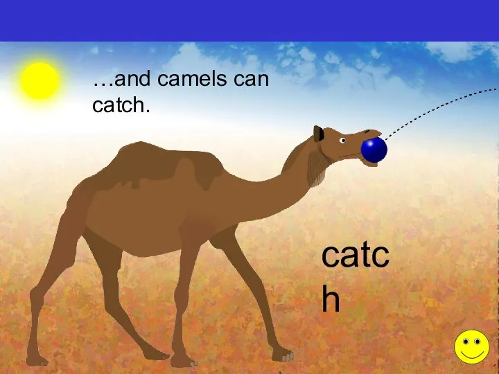 …and camels can catch. catch