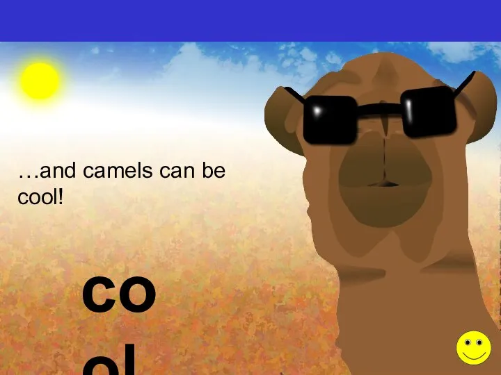 …and camels can be cool! cool
