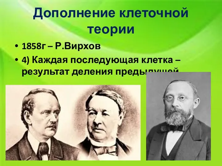 Дополнение клеточной теории 1858г – Р.Вирхов 4) Каждая последующая клетка – результат деления предыдущей