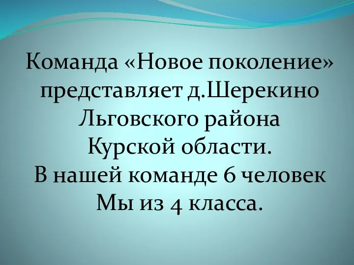 Команда «Новое поколение» представляет д.Шерекино Льговского района Курской области. В нашей команде