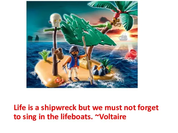 Life is a shipwreck but we must not forget to sing in the lifeboats. ~Voltaire