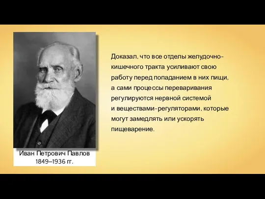 Иван Петрович Павлов 1849‒1936 гг. Доказал, что все отделы желудочно-кишечного тракта усиливают