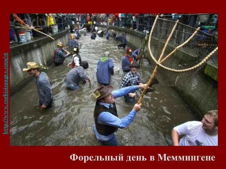 http://www.corbisimages.com/stock-photo/rights-managed/42-29026628/fishermens-day-in-memmingen Форельный день в Меммингене