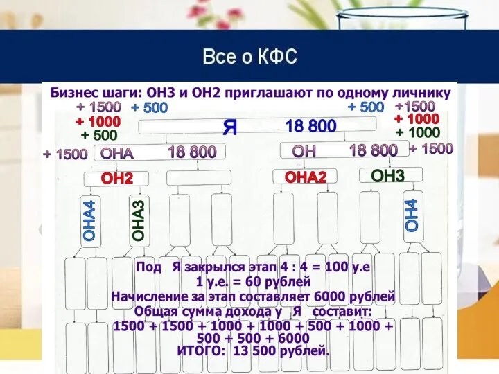 Все о КФС