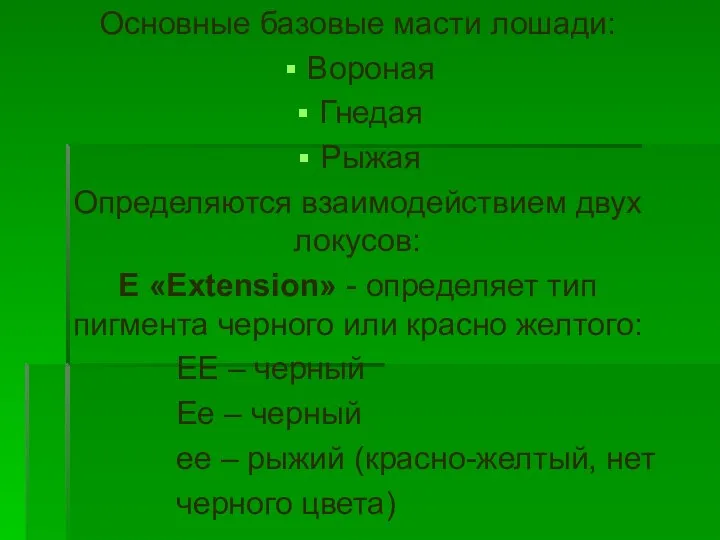 Основные базовые масти лошади: Вороная Гнедая Рыжая Определяются взаимодействием двух локусов: Е