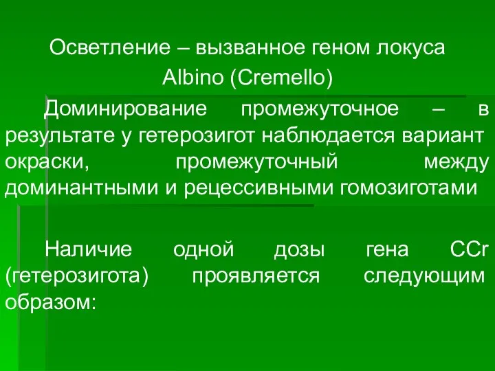 Осветление – вызванное геном локуса Albino (Cremello) Доминирование промежуточное – в результате