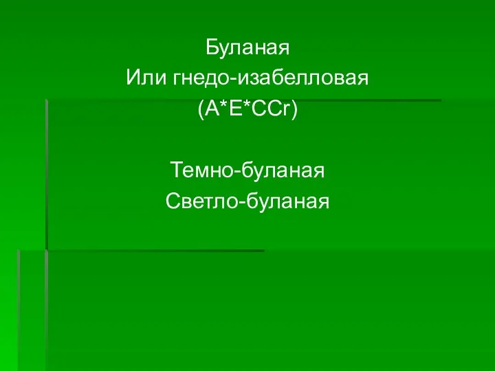 Буланая Или гнедо-изабелловая (А*Е*ССr) Темно-буланая Светло-буланая