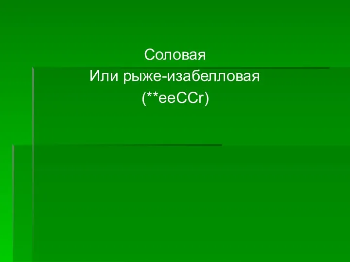 Соловая Или рыже-изабелловая (**ееССr)