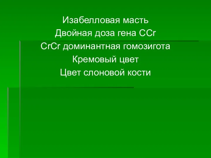 Изабелловая масть Двойная доза гена ССr CrCr доминантная гомозигота Кремовый цвет Цвет слоновой кости