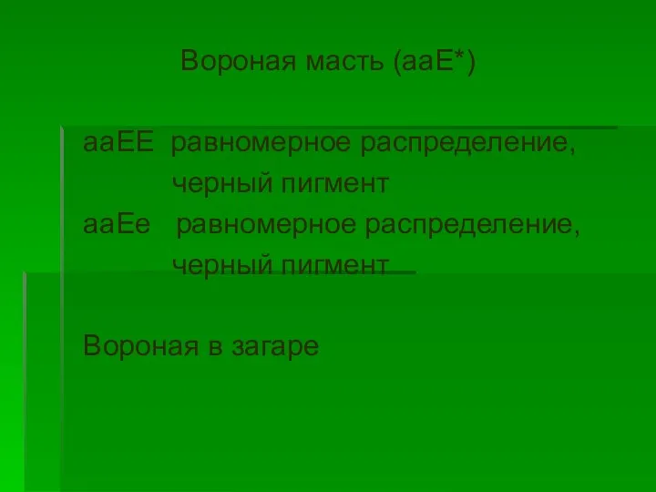 Вороная масть (ааЕ*) ааЕЕ равномерное распределение, черный пигмент ааЕе равномерное распределение, черный пигмент Вороная в загаре