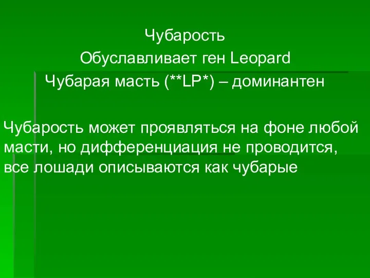 Чубарость Обуславливает ген Leopard Чубарая масть (**LP*) – доминантен Чубарость может проявляться