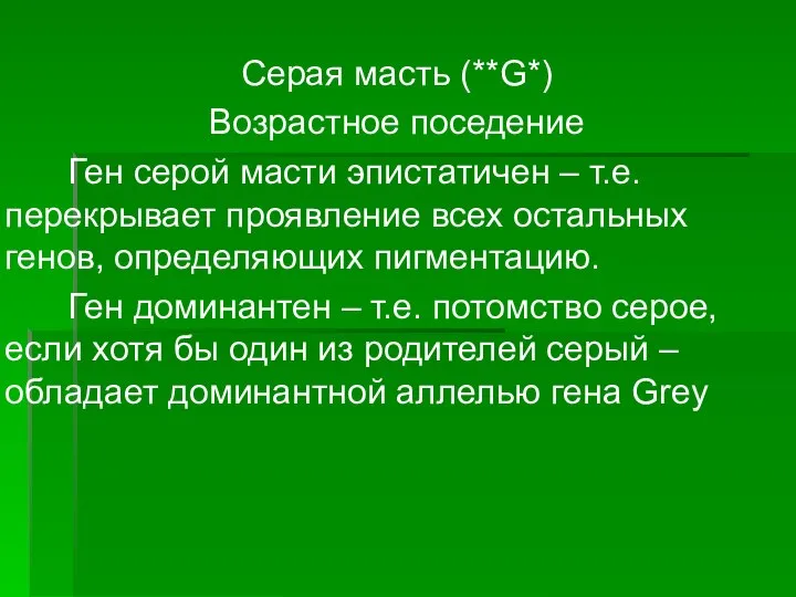 Серая масть (**G*) Возрастное поседение Ген серой масти эпистатичен – т.е. перекрывает