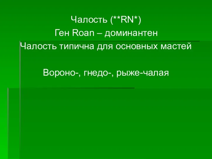 Чалость (**RN*) Ген Roan – доминантен Чалость типична для основных мастей Вороно-, гнедо-, рыже-чалая