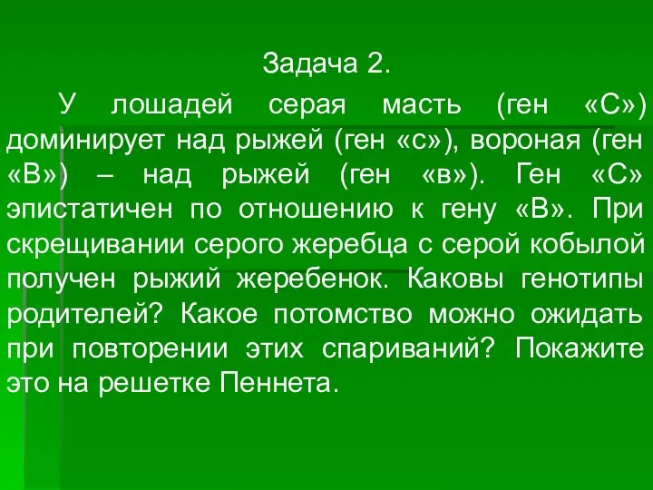 Задача 2. У лошадей серая масть (ген «С») доминирует над рыжей (ген