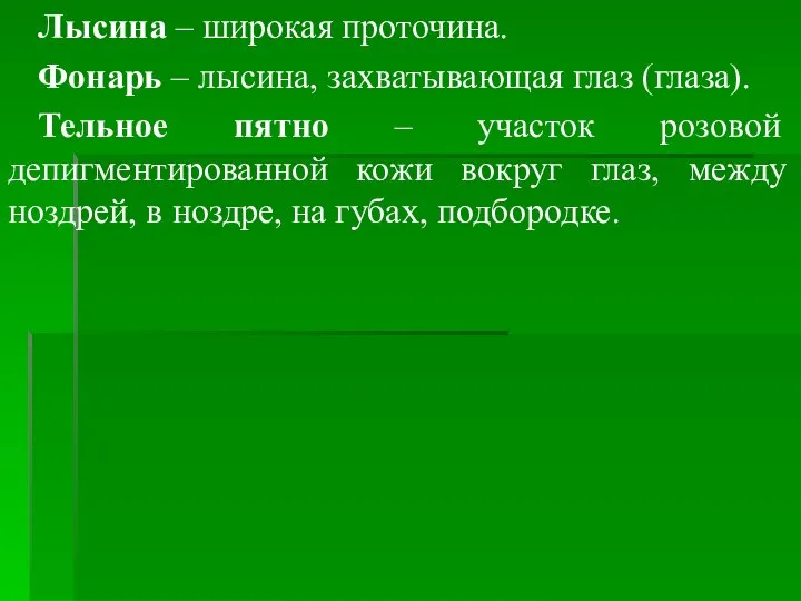 Лысина – широкая проточина. Фонарь – лысина, захватывающая глаз (глаза). Тельное пятно