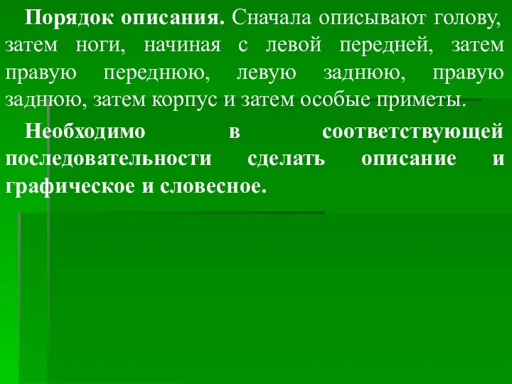 Порядок описания. Сначала описывают голову, затем ноги, начиная с левой передней, затем