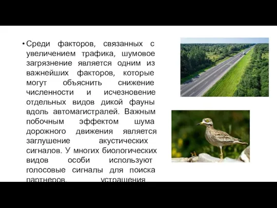 Среди факторов, связанных с увеличением трафика, шумовое загрязнение является одним из важнейших