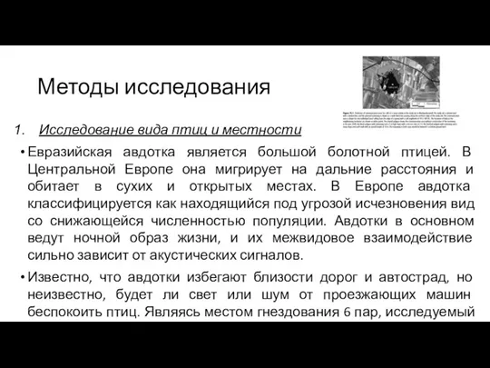 Методы исследования Исследование вида птиц и местности Евразийская авдотка является большой болотной