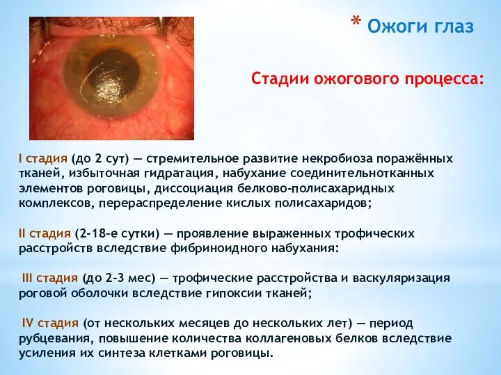 I стадия (до 2 сут) — стремительное развитие некробиоза поражённых тканей, избыточная