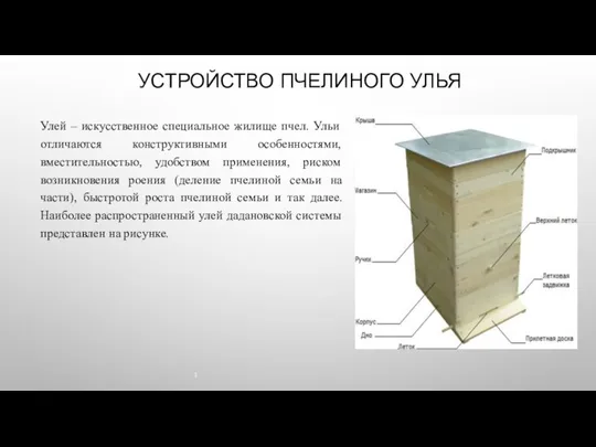 Улей – искусственное специальное жилище пчел. Ульи отличаются конструктивными особенностями, вместительностью, удобством