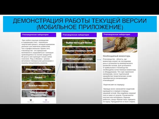 ДЕМОНСТРАЦИЯ РАБОТЫ ТЕКУЩЕЙ ВЕРСИИ (МОБИЛЬНОЕ ПРИЛОЖЕНИЕ)