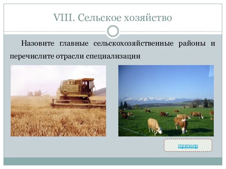 VIII. Сельское хозяйство Назовите главные сельскохозяйственные районы и перечислите отрасли специализации пример
