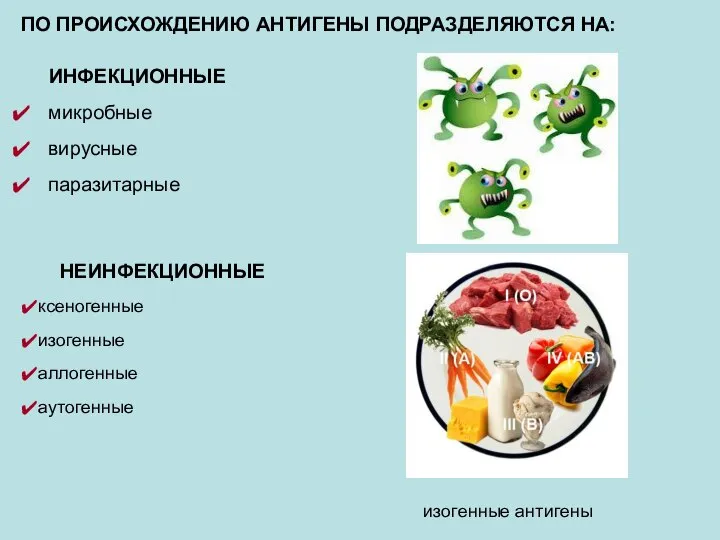 ПО ПРОИСХОЖДЕНИЮ АНТИГЕНЫ ПОДРАЗДЕЛЯЮТСЯ НА: ИНФЕКЦИОННЫЕ микробные вирусные паразитарные изогенные антигены НЕИНФЕКЦИОННЫЕ ксеногенные изогенные аллогенные аутогенные